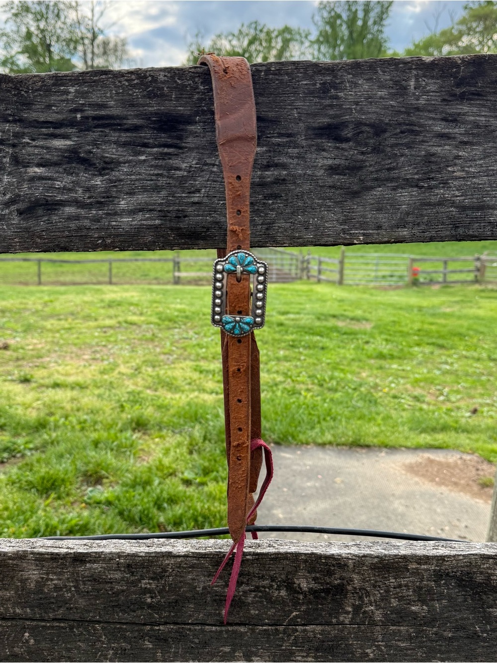 Split Ear Headstall - Picture 2 of 3